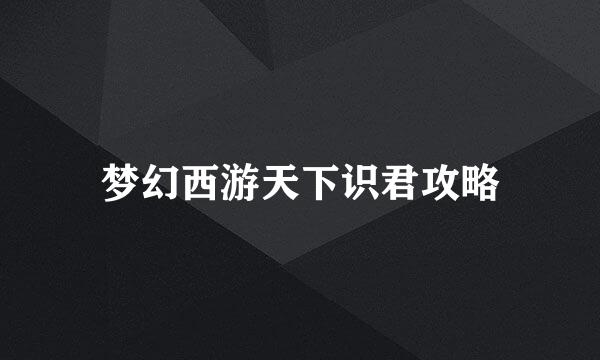 梦幻西游天下识君攻略