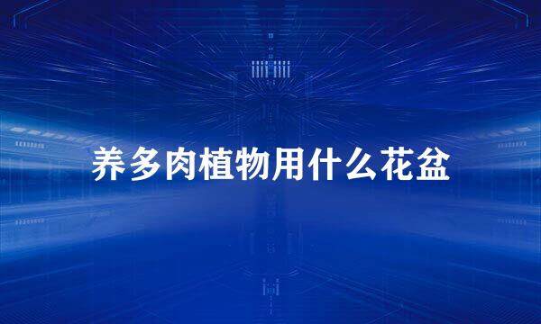 养多肉植物用什么花盆