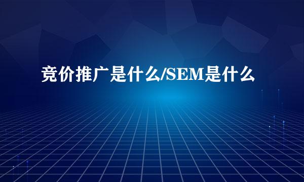 竞价推广是什么/SEM是什么