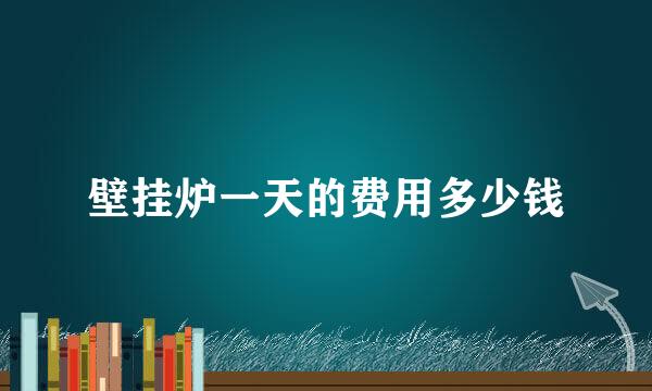 壁挂炉一天的费用多少钱
