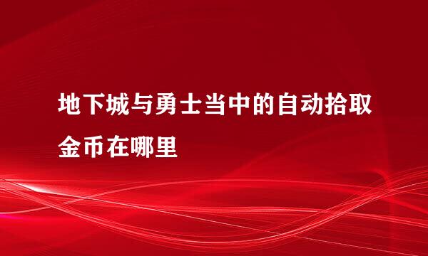 地下城与勇士当中的自动拾取金币在哪里