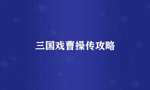 三国戏曹操传攻略