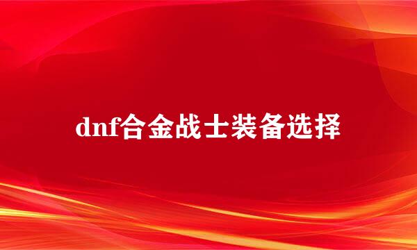 dnf合金战士装备选择