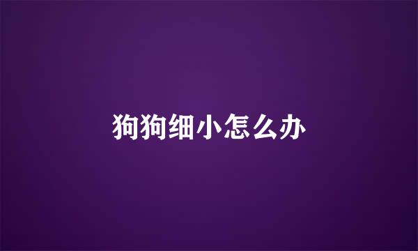 狗狗细小怎么办