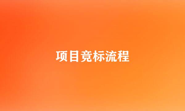 项目竞标流程