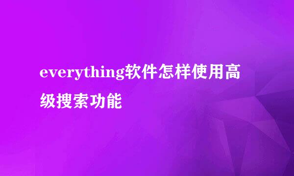 everything软件怎样使用高级搜索功能