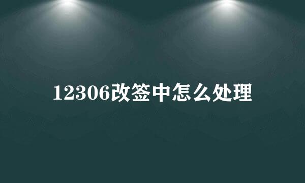 12306改签中怎么处理