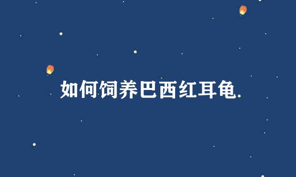 如何饲养巴西红耳龟