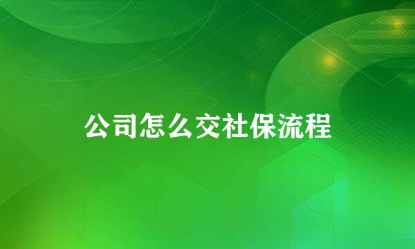 公司怎么交社保流程