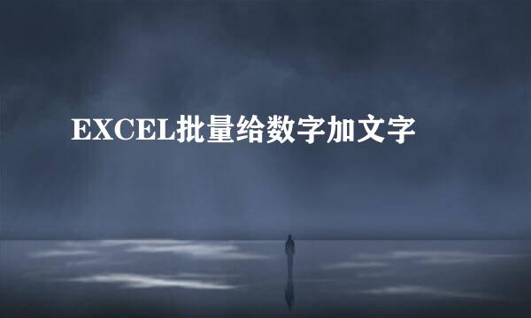 EXCEL批量给数字加文字