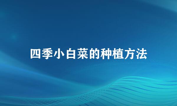 四季小白菜的种植方法