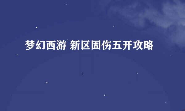 梦幻西游 新区固伤五开攻略