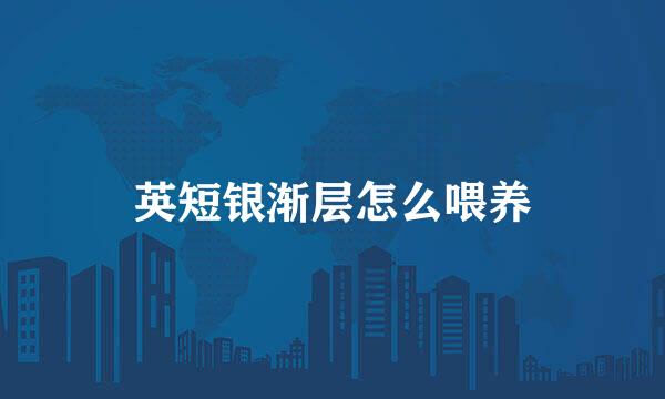 英短银渐层怎么喂养