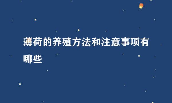 薄荷的养殖方法和注意事项有哪些