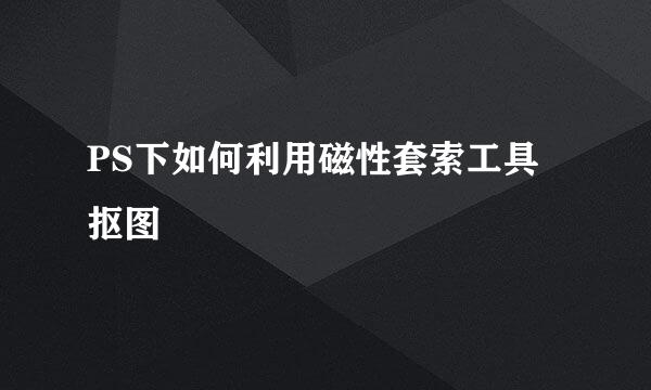 PS下如何利用磁性套索工具抠图
