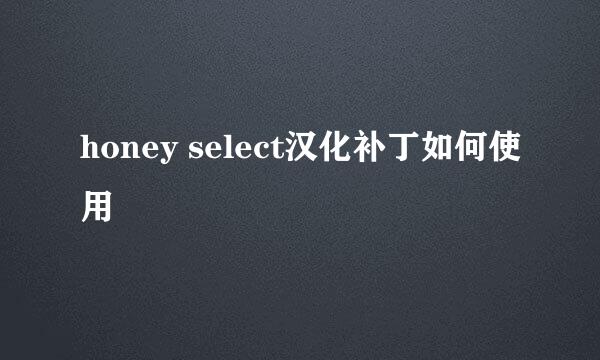 honey select汉化补丁如何使用