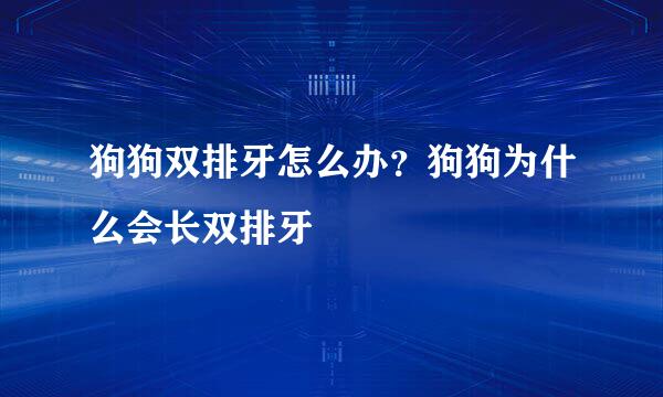 狗狗双排牙怎么办？狗狗为什么会长双排牙