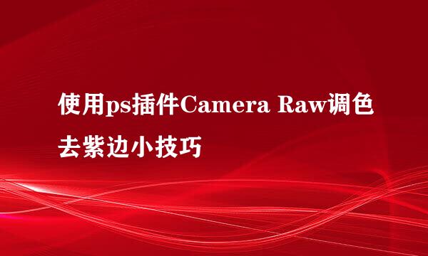 使用ps插件Camera Raw调色去紫边小技巧