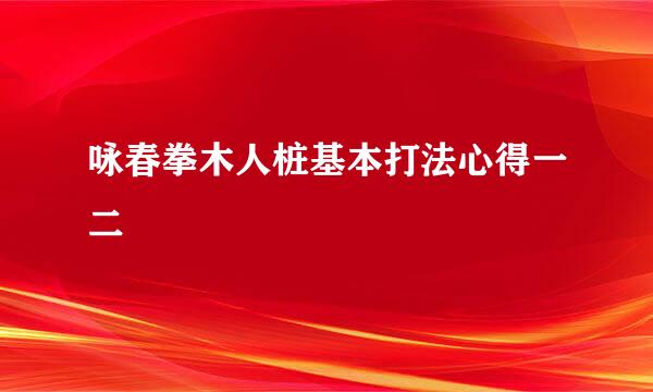 咏春拳木人桩基本打法心得一二