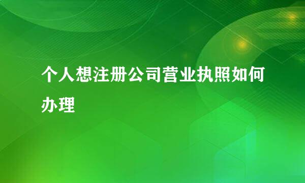 个人想注册公司营业执照如何办理