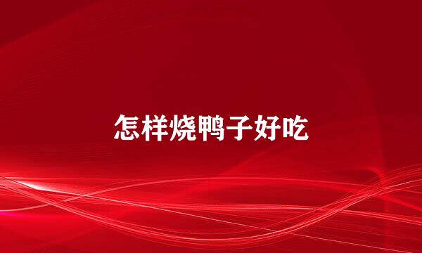 怎样烧鸭子好吃