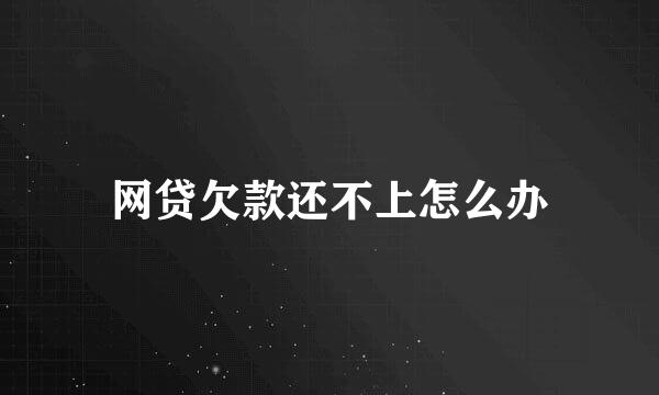网贷欠款还不上怎么办
