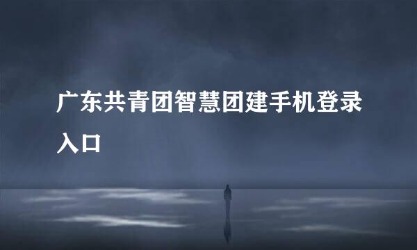 广东共青团智慧团建手机登录入口