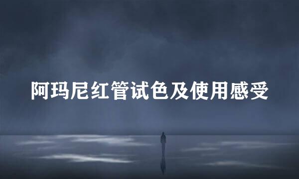 阿玛尼红管试色及使用感受