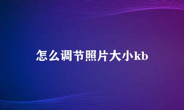 怎么调节照片大小kb