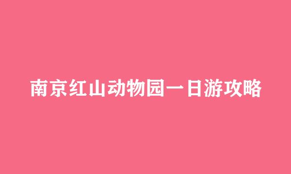 南京红山动物园一日游攻略