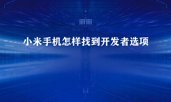 小米手机怎样找到开发者选项
