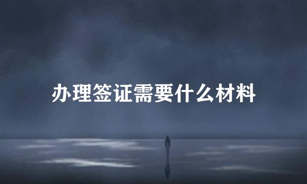 办理签证需要什么材料