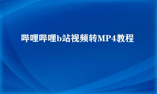 哔哩哔哩b站视频转MP4教程