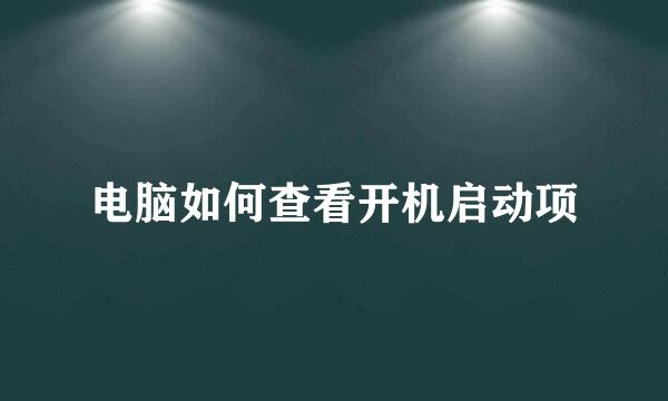 电脑如何查看开机启动项