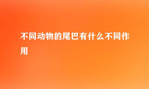 不同动物的尾巴有什么不同作用