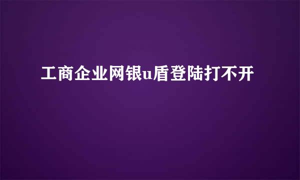 工商企业网银u盾登陆打不开
