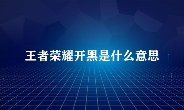 王者荣耀开黑是什么意思