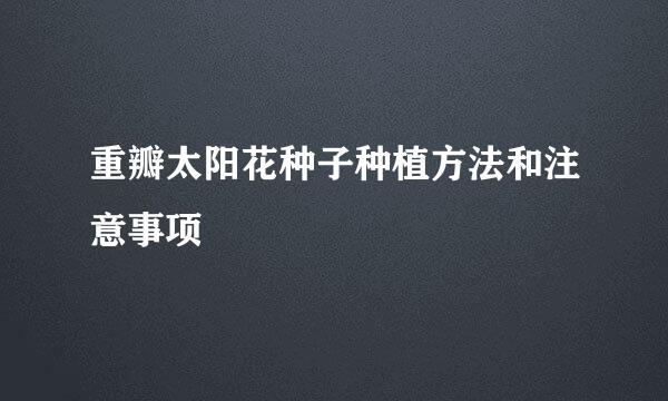 重瓣太阳花种子种植方法和注意事项