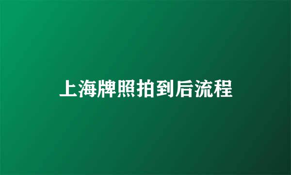 上海牌照拍到后流程