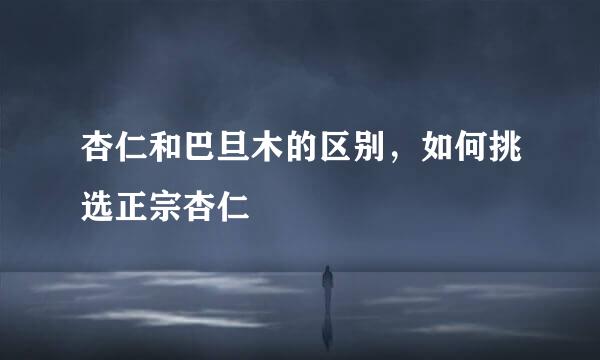 杏仁和巴旦木的区别，如何挑选正宗杏仁