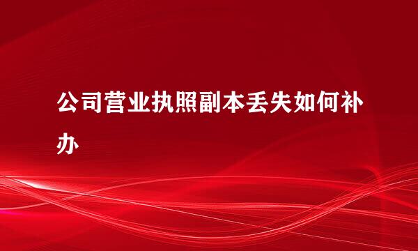 公司营业执照副本丢失如何补办