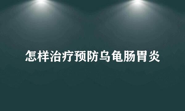怎样治疗预防乌龟肠胃炎