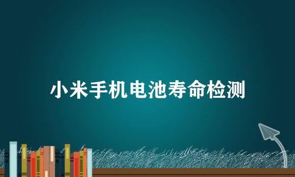 小米手机电池寿命检测