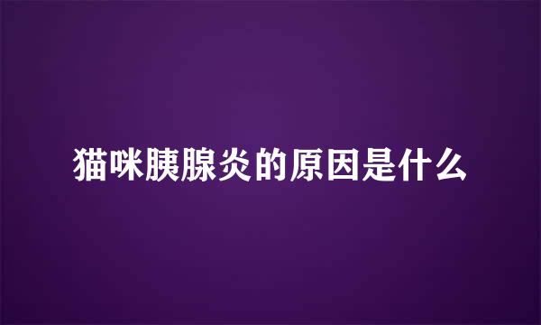 猫咪胰腺炎的原因是什么