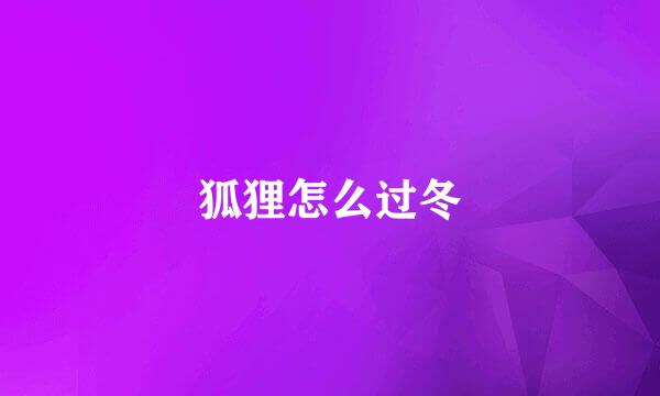 狐狸怎么过冬