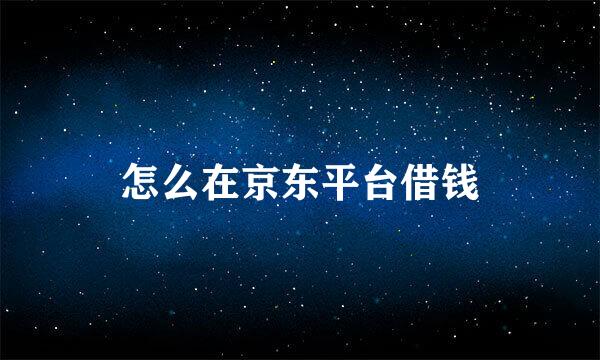 怎么在京东平台借钱