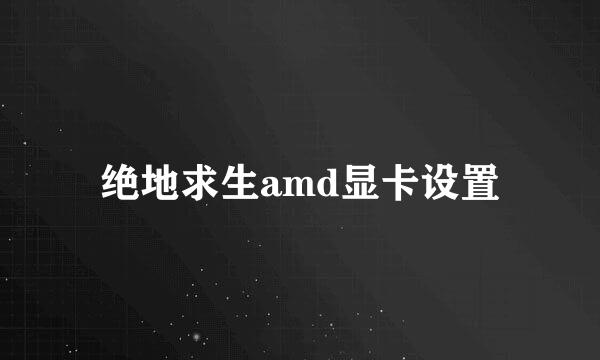 绝地求生amd显卡设置