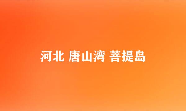 河北 唐山湾 菩提岛