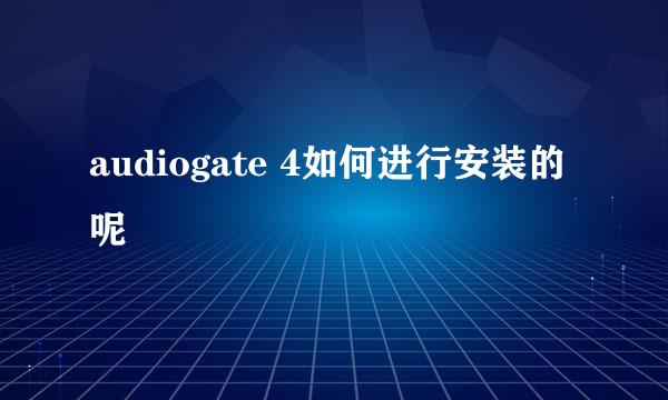 audiogate 4如何进行安装的呢