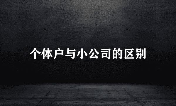 个体户与小公司的区别